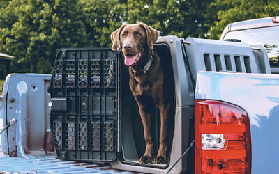 Foaming large-format parts using the injection molding process